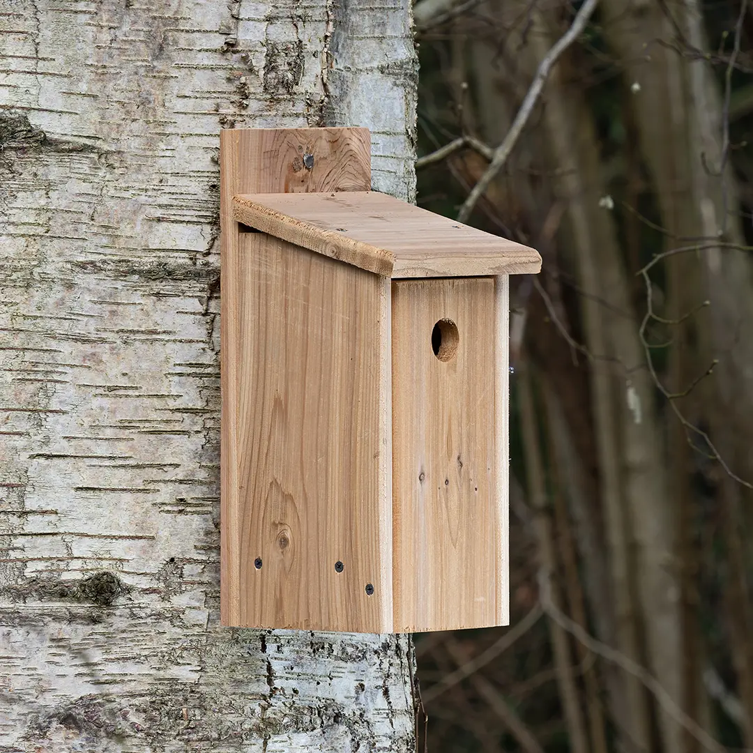 Garden Bird Nest Boxes